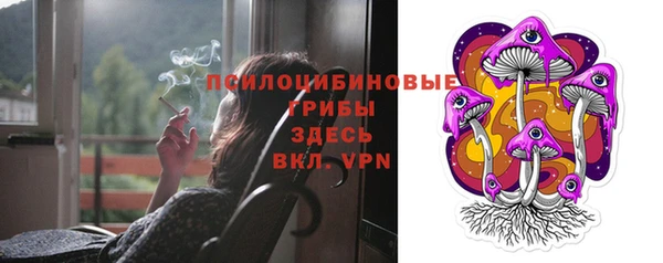 спайс Аркадак