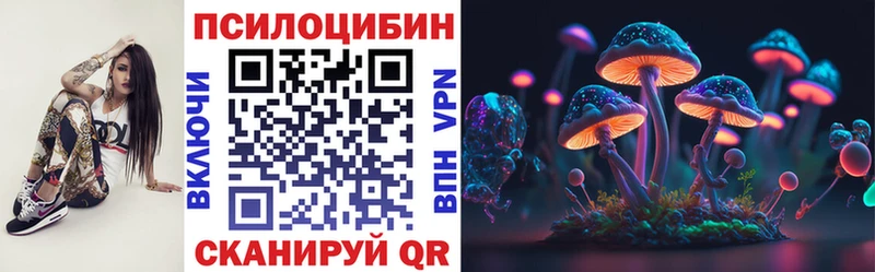 наркота  Россошь  mega зеркало  Псилоцибиновые грибы MAGIC MUSHROOMS 